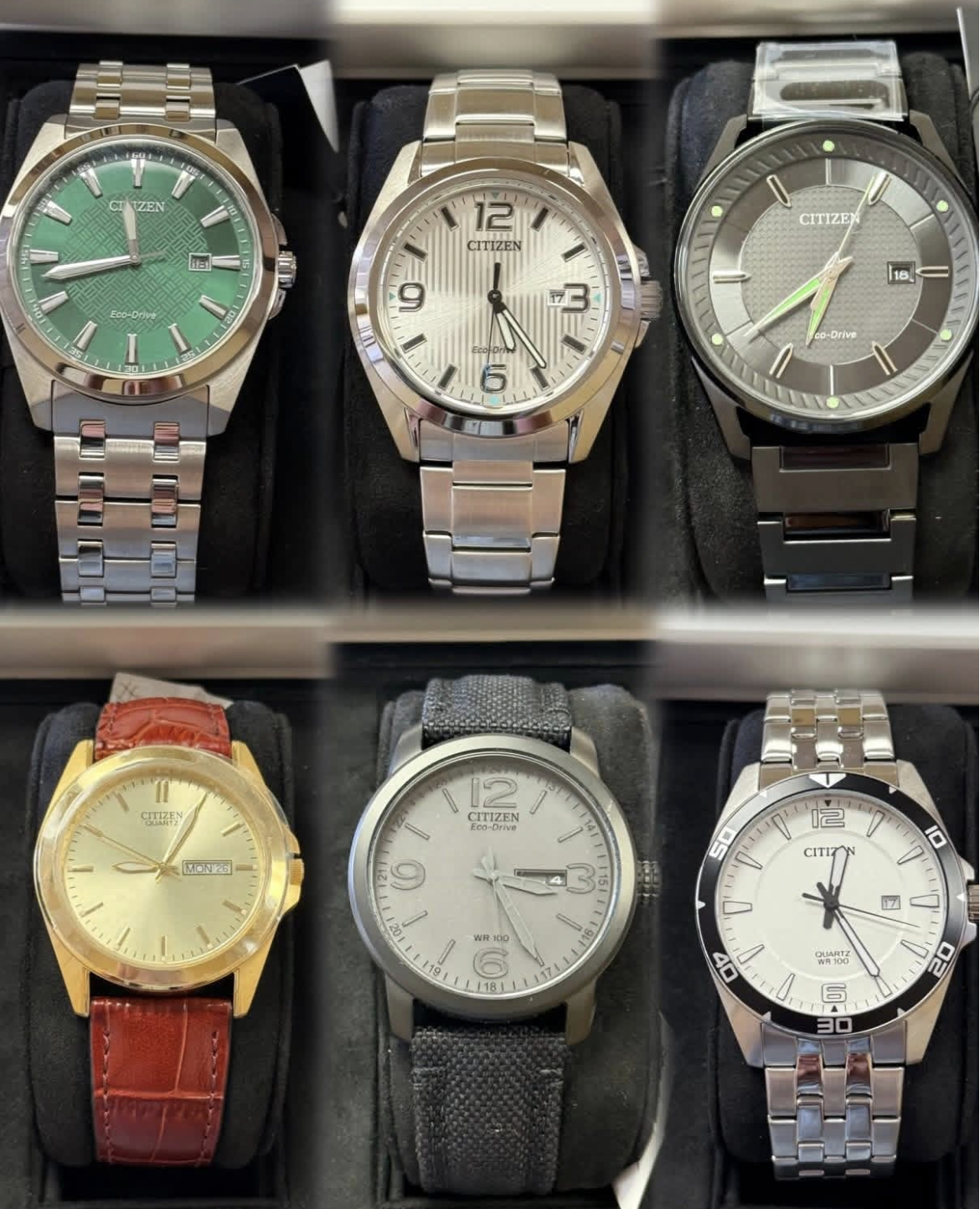 Citizen watch collection display